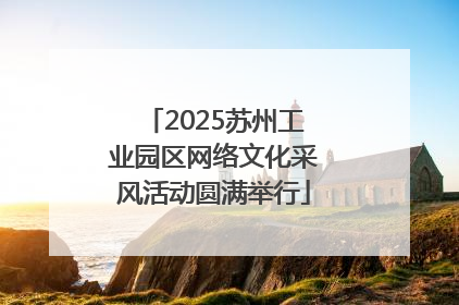 2025苏州工业园区网络文化采风活动圆满举行