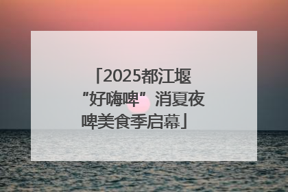 2025都江堰“好嗨啤”消夏夜啤美食季启幕