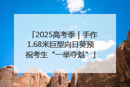 2025高考季｜手作1.68米巨型向日葵预祝考生“一举夺魁”
