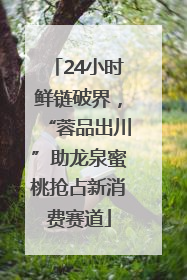 24小时鲜链破界，“蓉品出川”助龙泉蜜桃抢占新消费赛道