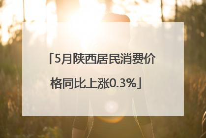 5月陕西居民消费价格同比上涨0.3%