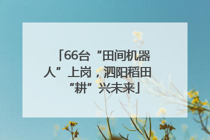 66台“田间机器人”上岗，泗阳稻田“耕”兴未来