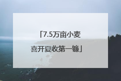 7.5万亩小麦喜开夏收第一镰