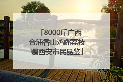 8000斤广西合浦香山鸡嘴荔枝赠西安市民品鉴