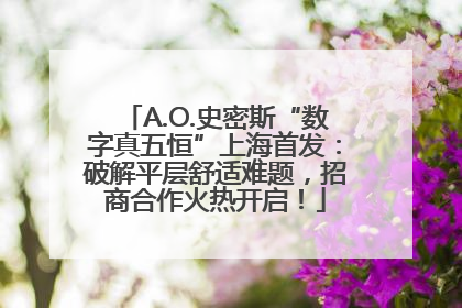 A.O.史密斯“数字真五恒”上海首发：破解平层舒适难题，招商合作火热开启！
