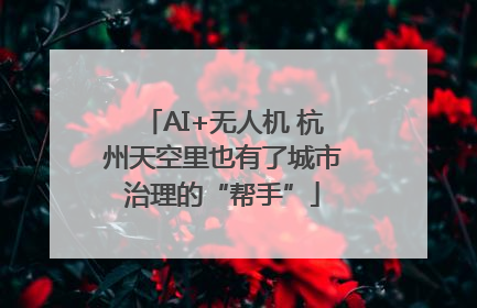 AI+无人机 杭州天空里也有了城市治理的“帮手”