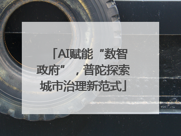 AI赋能“数智政府”，普陀探索城市治理新范式
