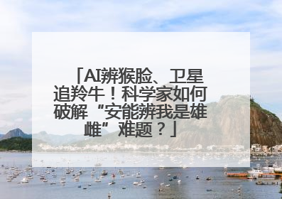 AI辨猴脸、卫星追羚牛！科学家如何破解“安能辨我是雄雌”难题？
