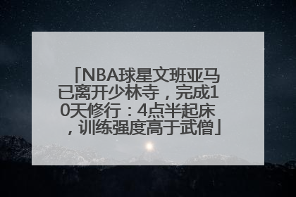 NBA球星文班亚马已离开少林寺，完成10天修行：4点半起床，训练强度高于武僧