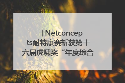 Netconcepts耐特康赛斩获第十六届虎啸奖“年度综合服务商”大奖