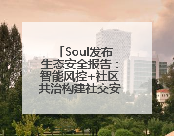 Soul发布生态安全报告：智能风控+社区共治构建社交安全新范式